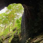 Review photo of Mammoth Cave Campground — Mammoth Cave National Park by Elizabeth V., August 28, 2020
