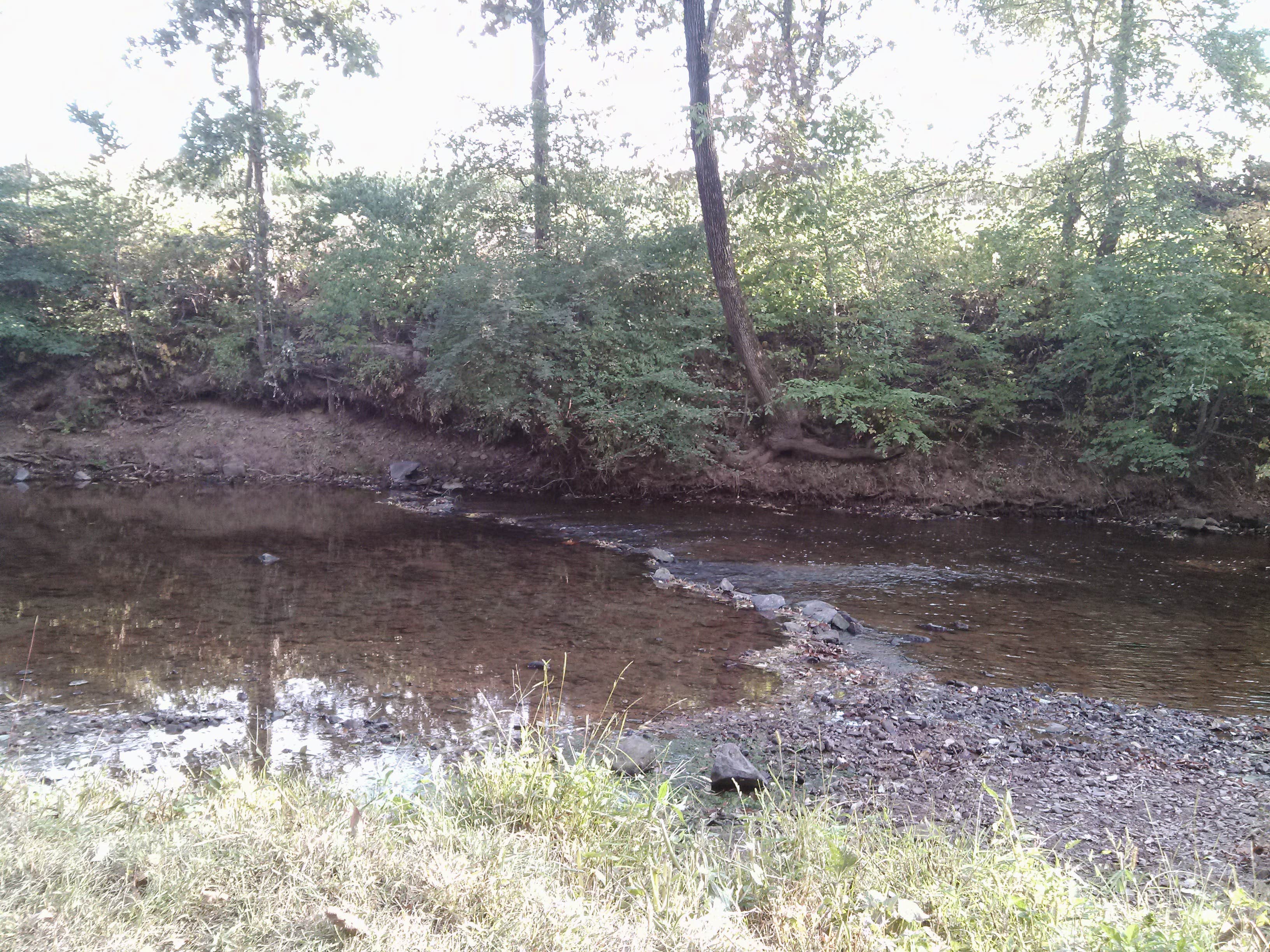 Camper submitted image from Red Run Campground - 4