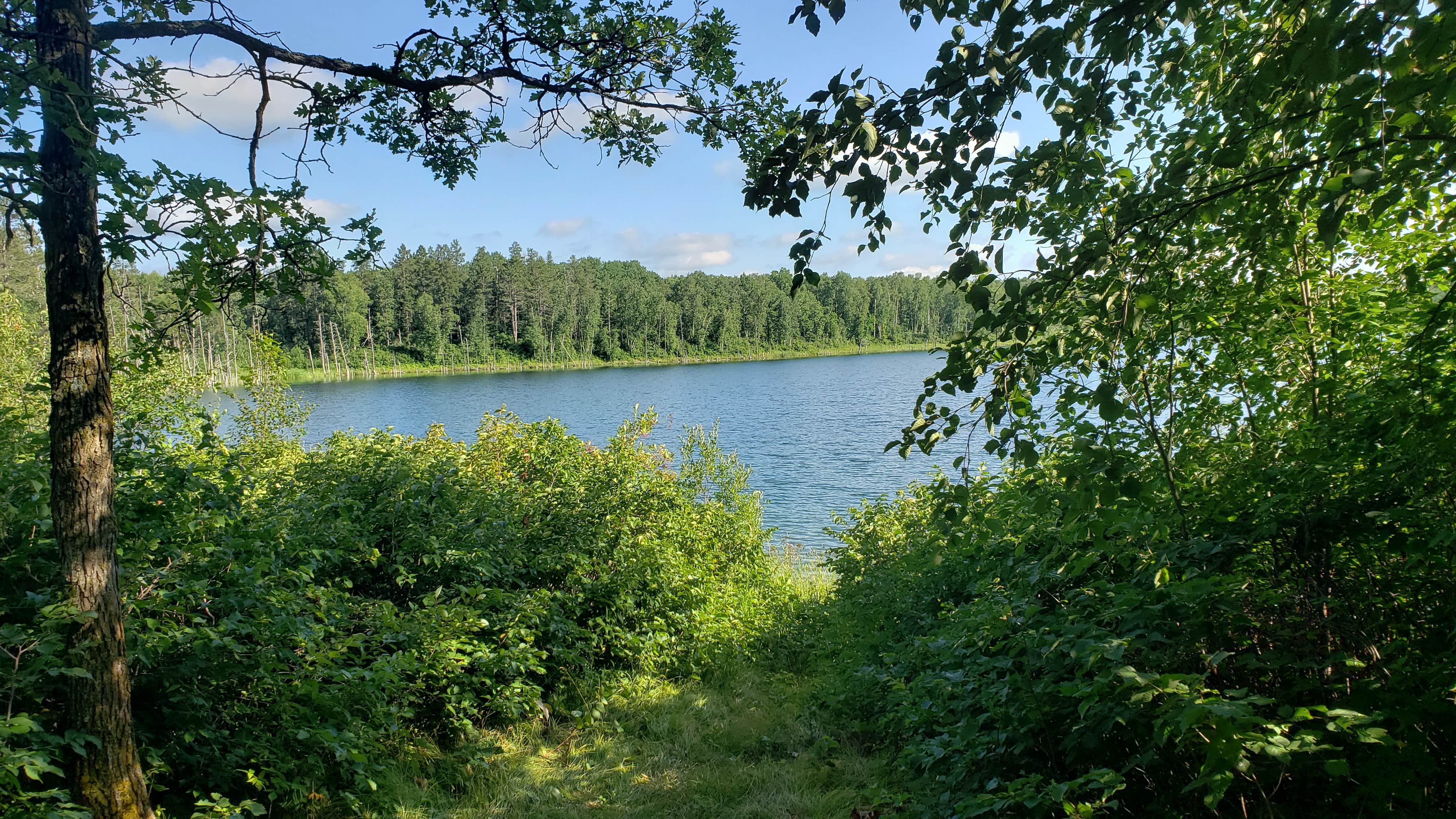 Camper submitted image from Gardner Lake Campsite - 2