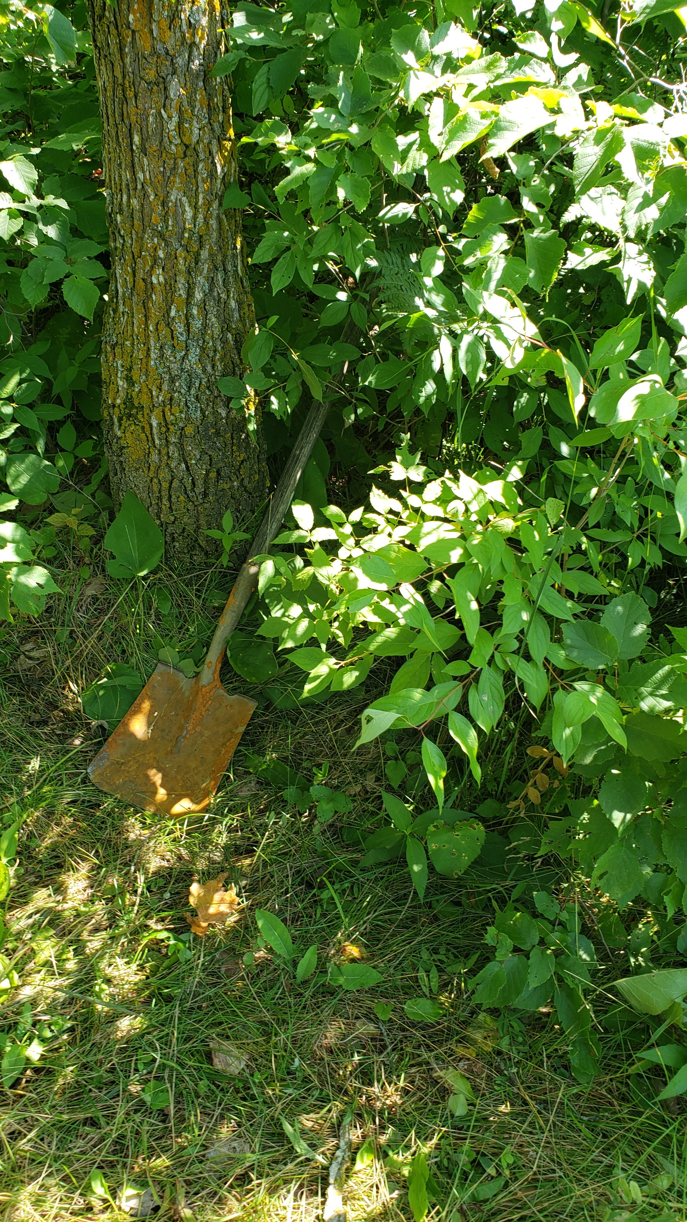 Found a shovel if someone is missing it.