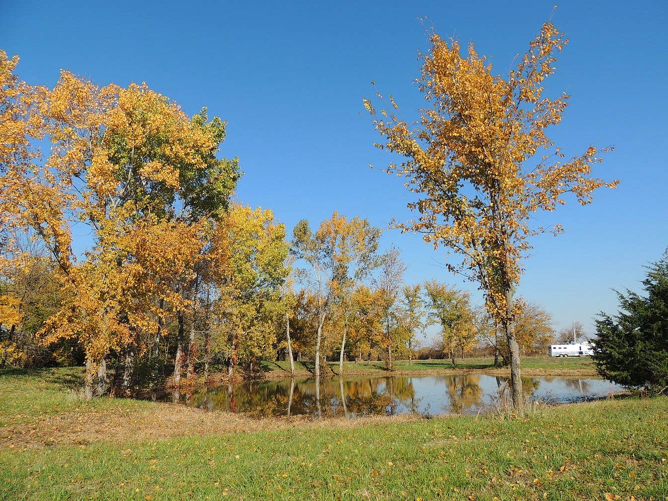 Camper-submitted photo at Vinedo del Alamo WInery near Mound City, KS