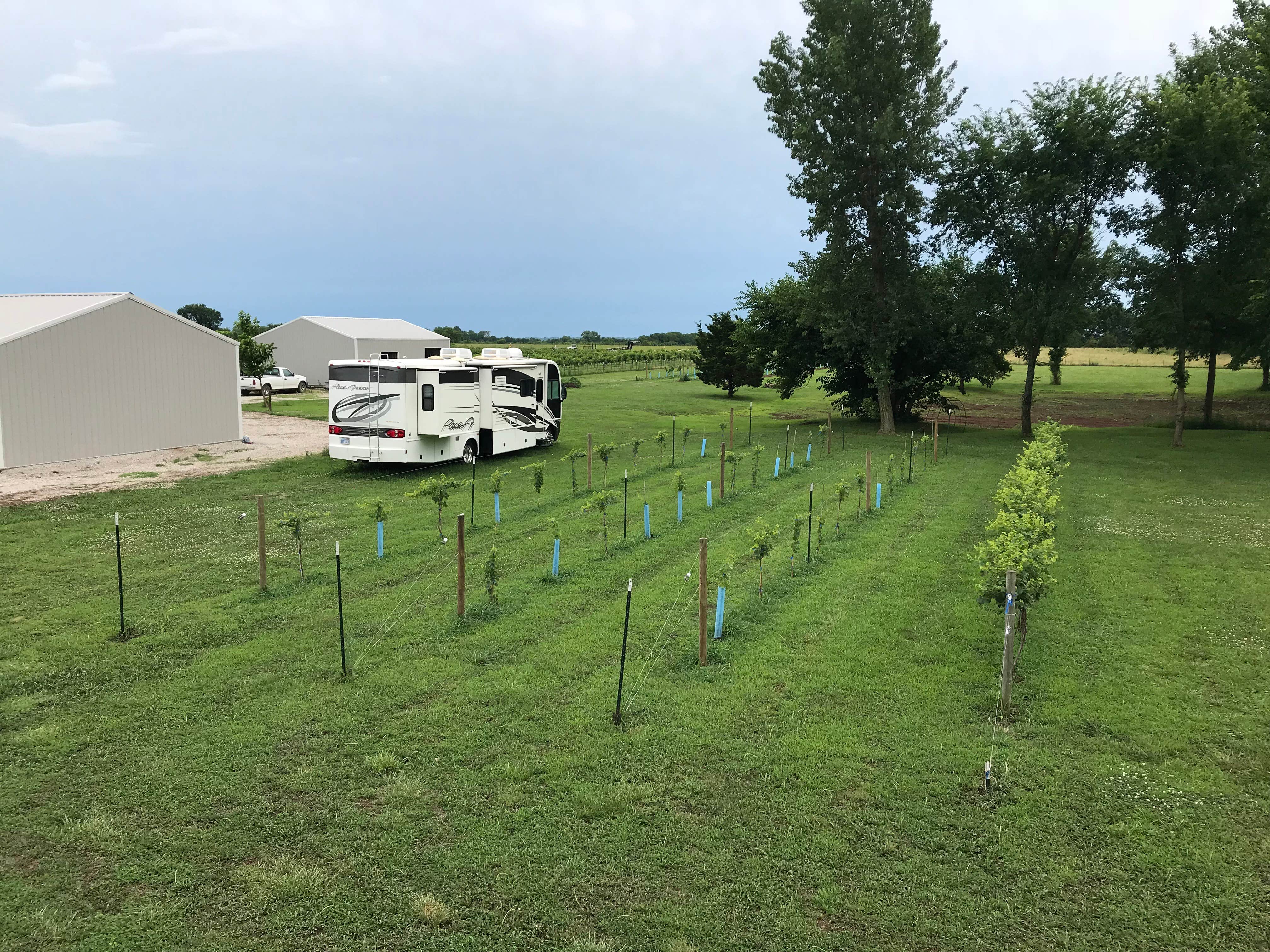 Denise D.'s photo of rv camping at Vinedo del Alamo WInery near Iola, KS