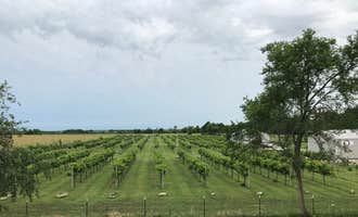 Camping near Lonesome Point Campground: Vinedo del Alamo WInery, Fort Scott, Kansas