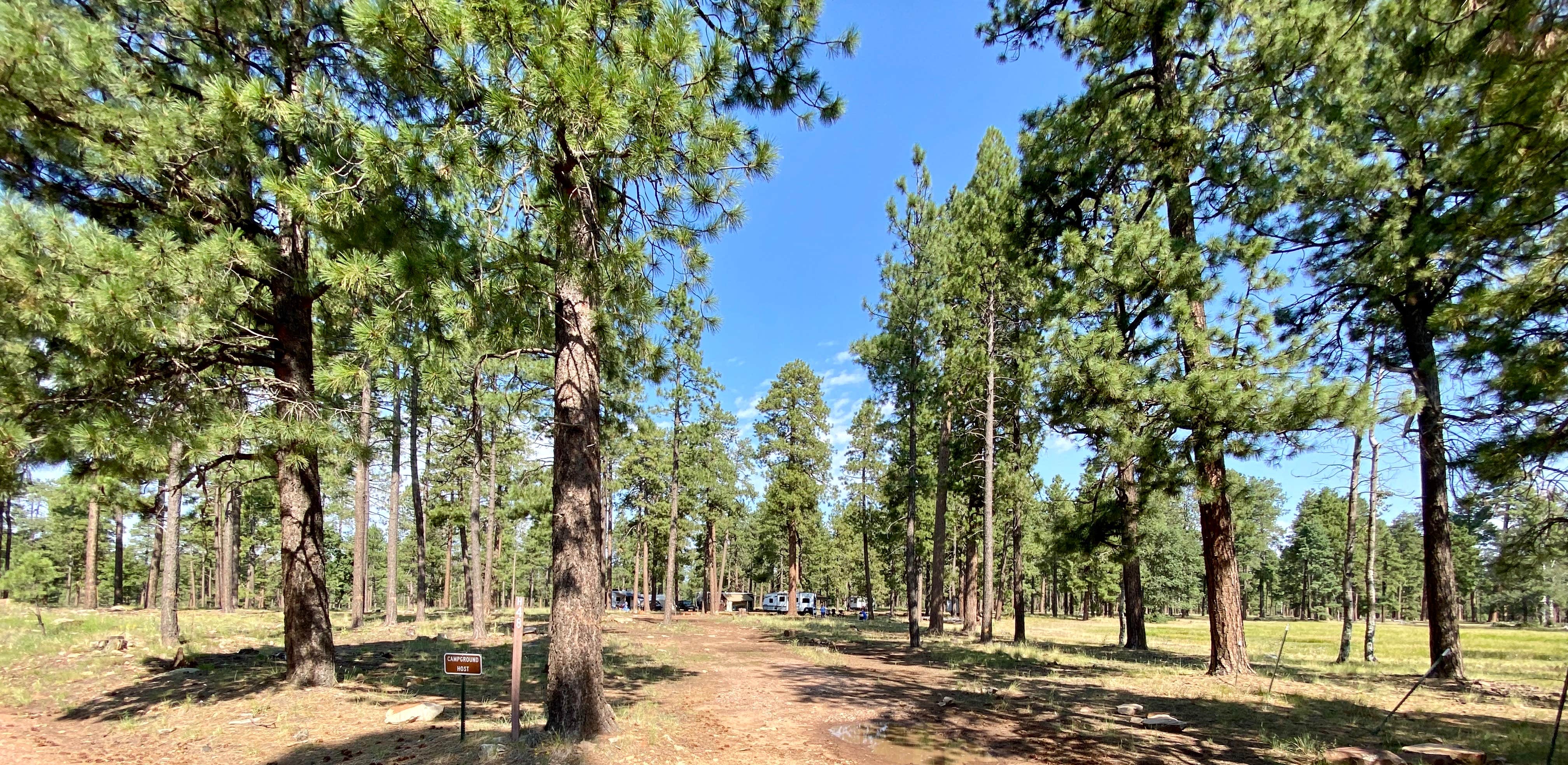 Camper submitted image from Fr 171 Campground - 3