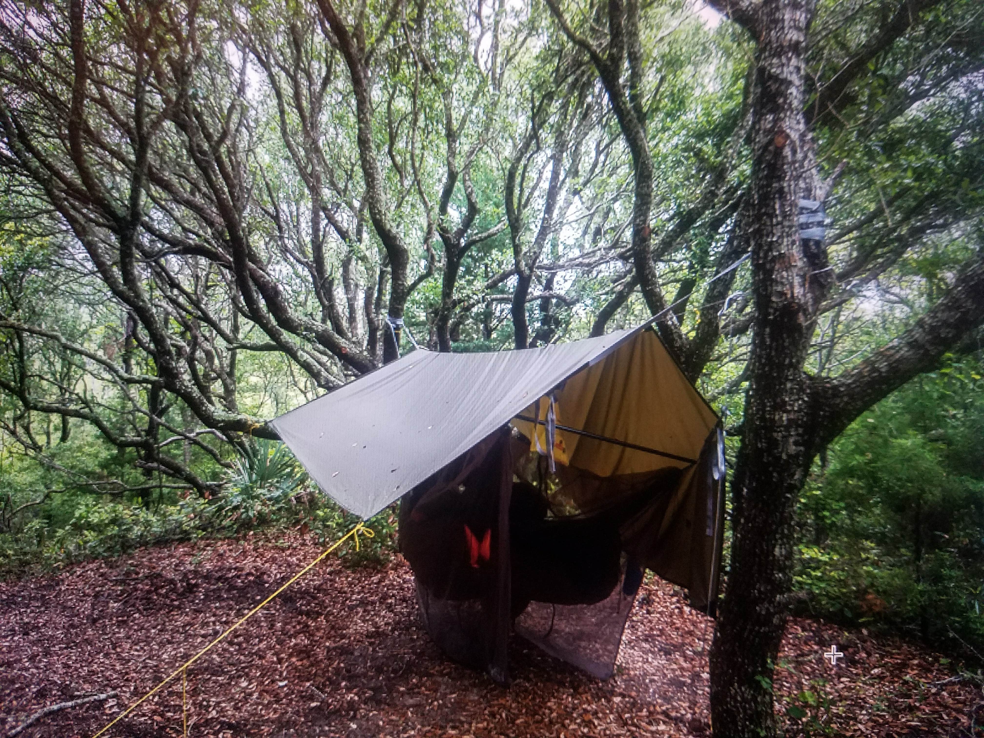 Ashley  N.'s photo at Frisco Campground — Cape Hatteras National Seashore near Frisco, NC