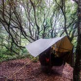 Review photo of Frisco Campground — Cape Hatteras National Seashore by Ashley  N., May 9, 2018