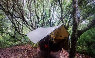 Ashley  N.'s photo at Frisco Campground — Cape Hatteras National Seashore near Buxton, NC
