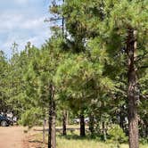 Review photo of Mogollon Campground by Zachary C., August 28, 2020