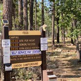 Review photo of Crook Campground by Zachary C., August 28, 2020