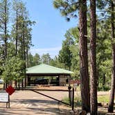 Review photo of Crook Campground by Zachary C., August 28, 2020