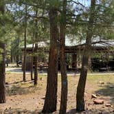 Review photo of Crook Campground by Zachary C., August 28, 2020