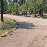 Review photo of Rim Campground by Zachary C., August 28, 2020