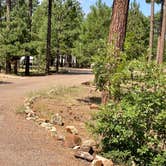 Review photo of Rim Campground by Zachary C., August 28, 2020