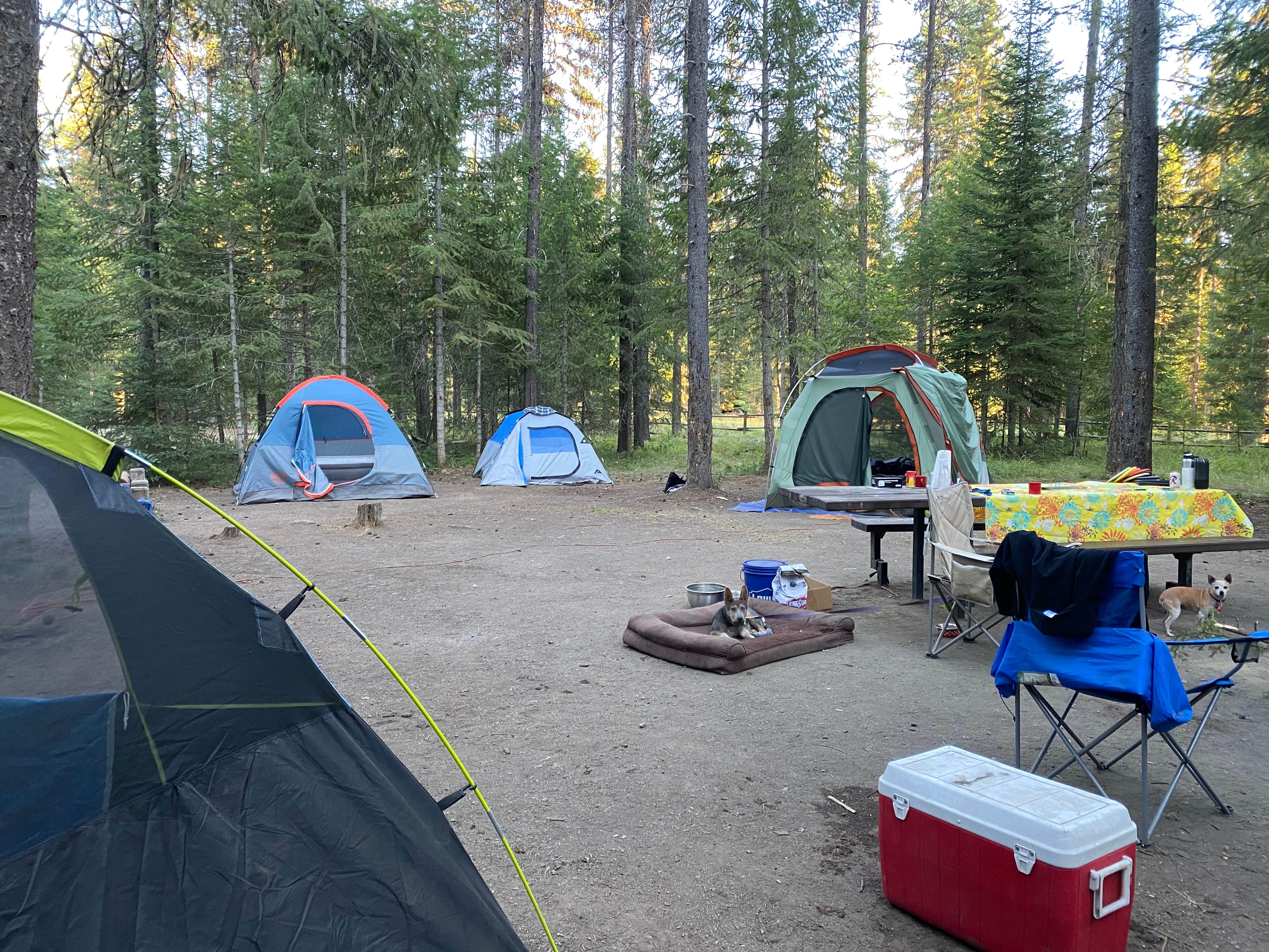 Camper-submitted photo at Lake Gillette Campground near Ione, WA