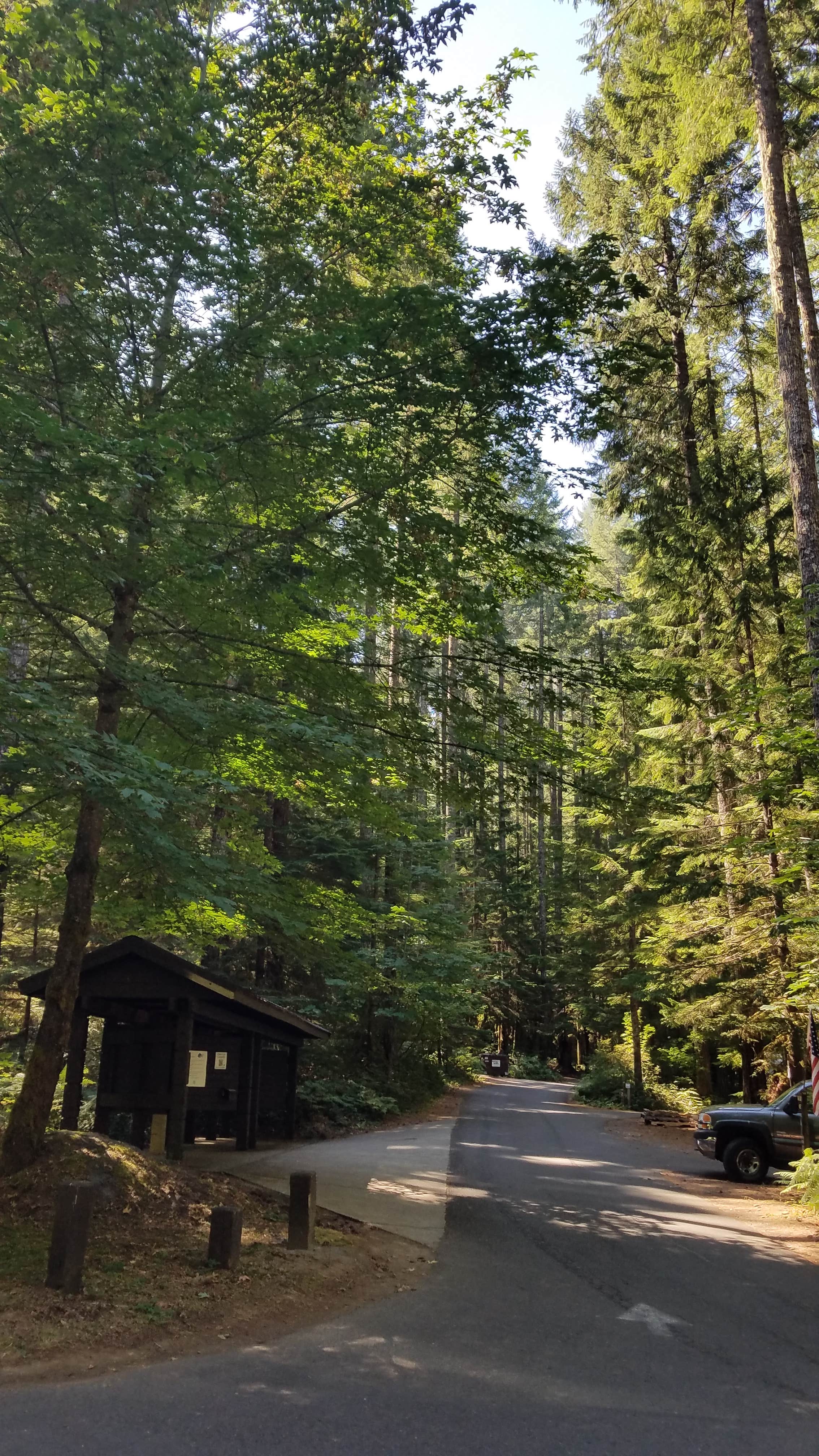 Camper submitted image from Cove Creek - 2