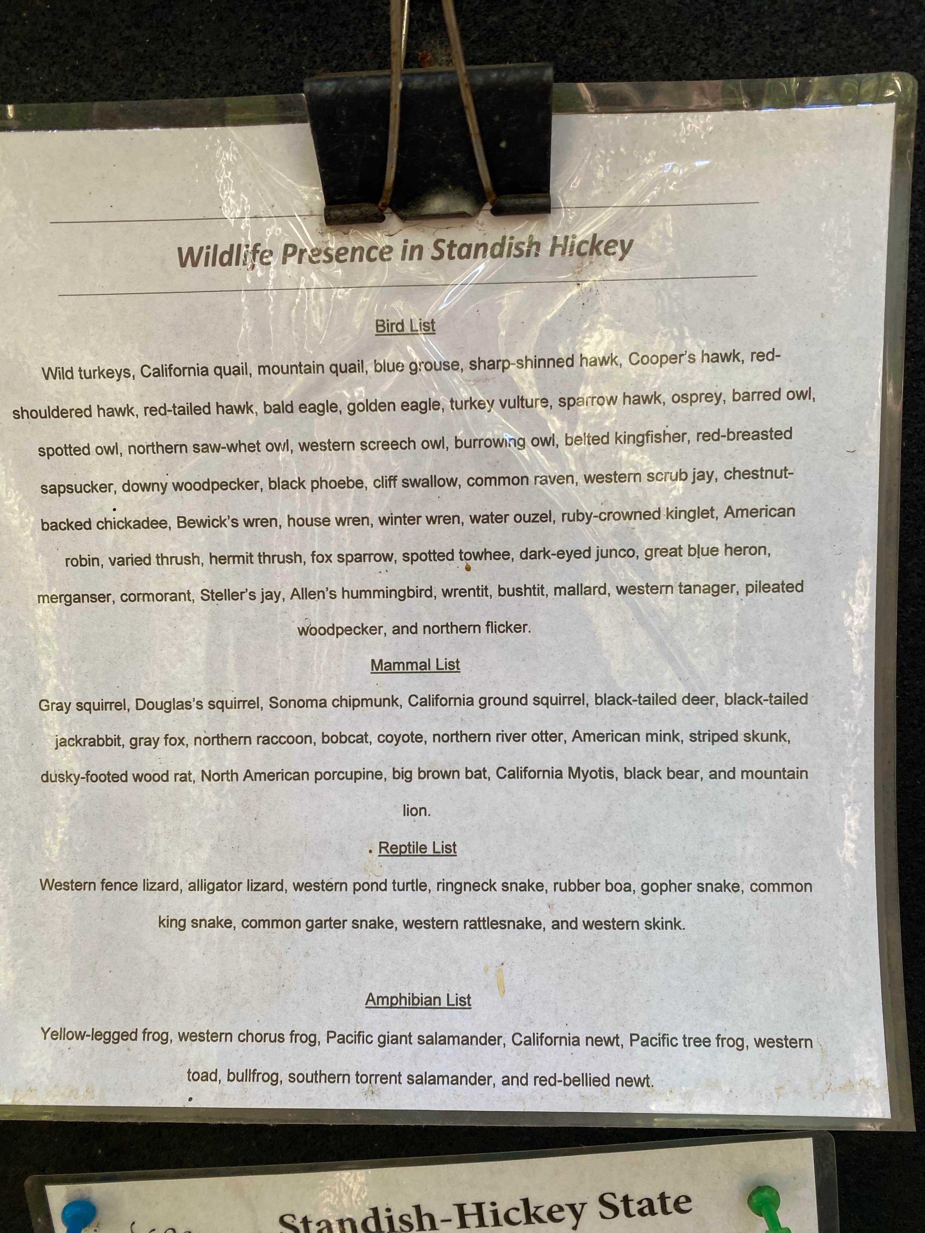 Camper-submitted photo at Redwood Campground — Standish-Hickey State Recreation Area near Covelo, CA