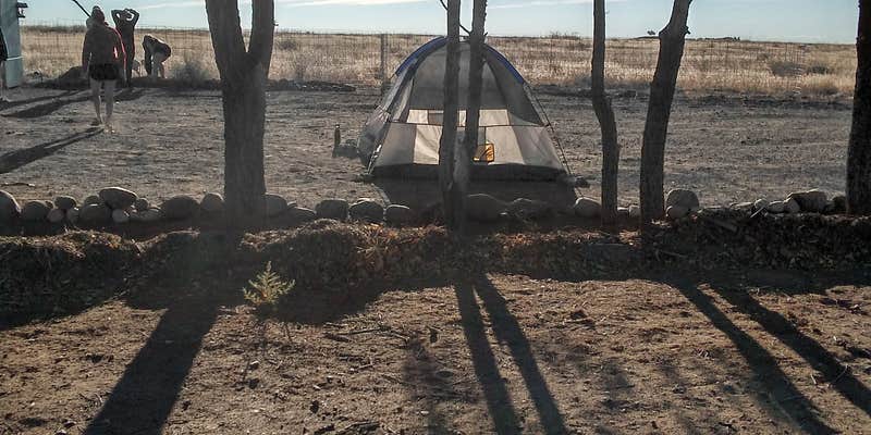 Camper submitted image from The Oasis