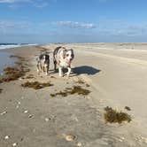 Review photo of South Core Banks -- Beach Camping — Cape Lookout National Seashore by Brittany H., August 29, 2020