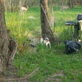 Review photo of Jocko Hollow Campground by Douglas M., August 29, 2020