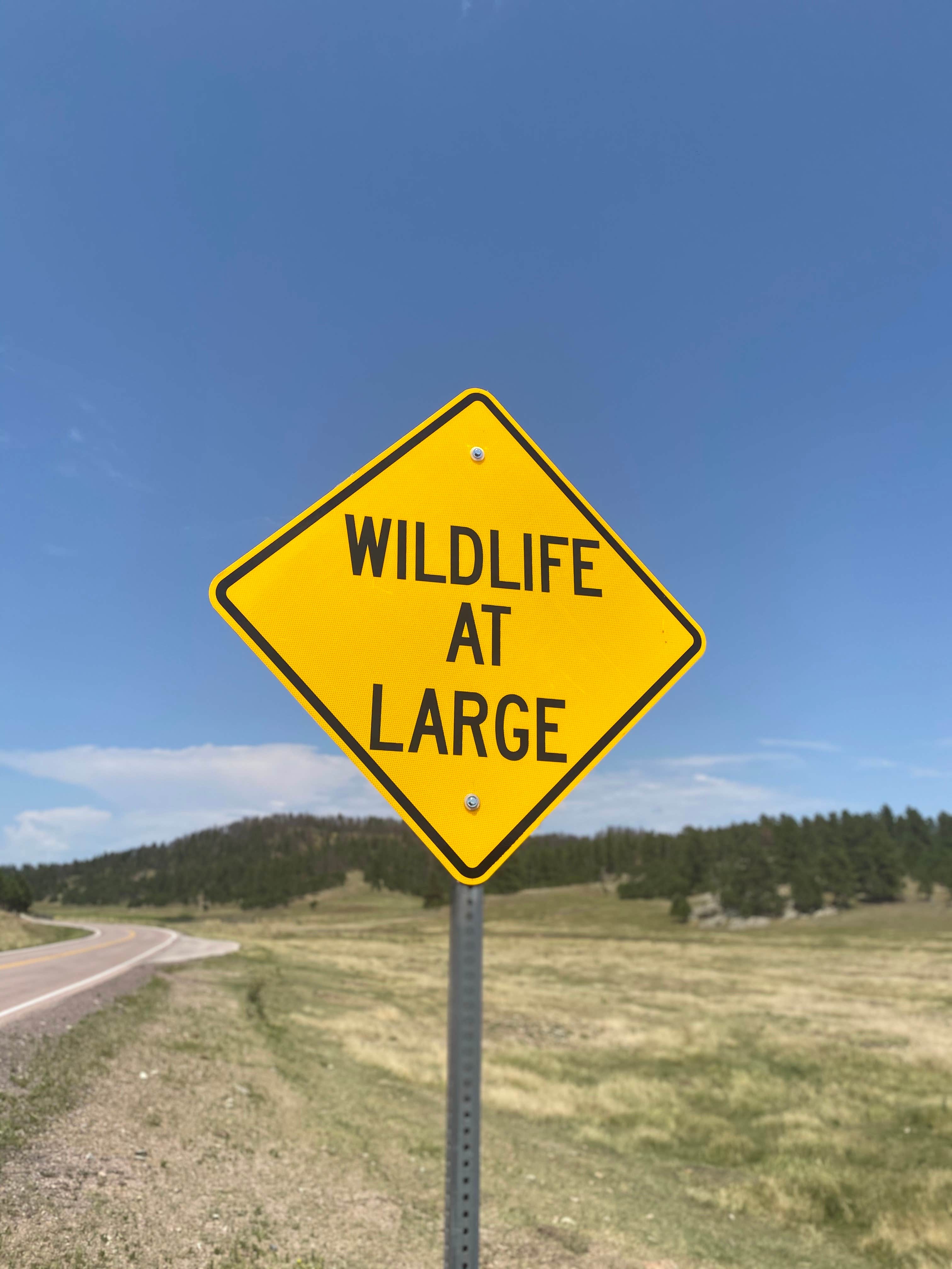 Camper submitted image from Stockade North Campground — Custer State Park - 4