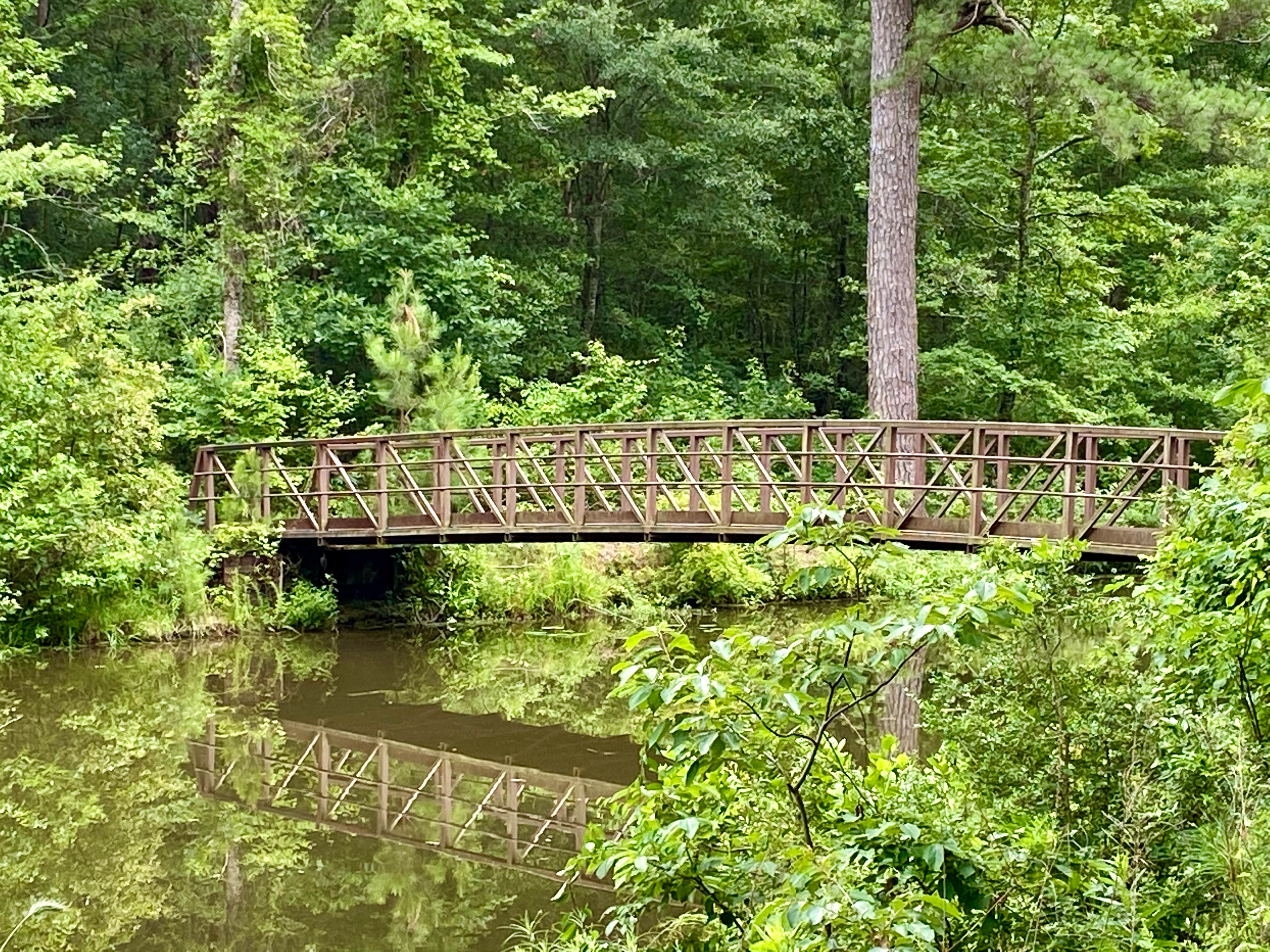 Camper-submitted photo at Turtle Slide Campground near Elm Grove, LA