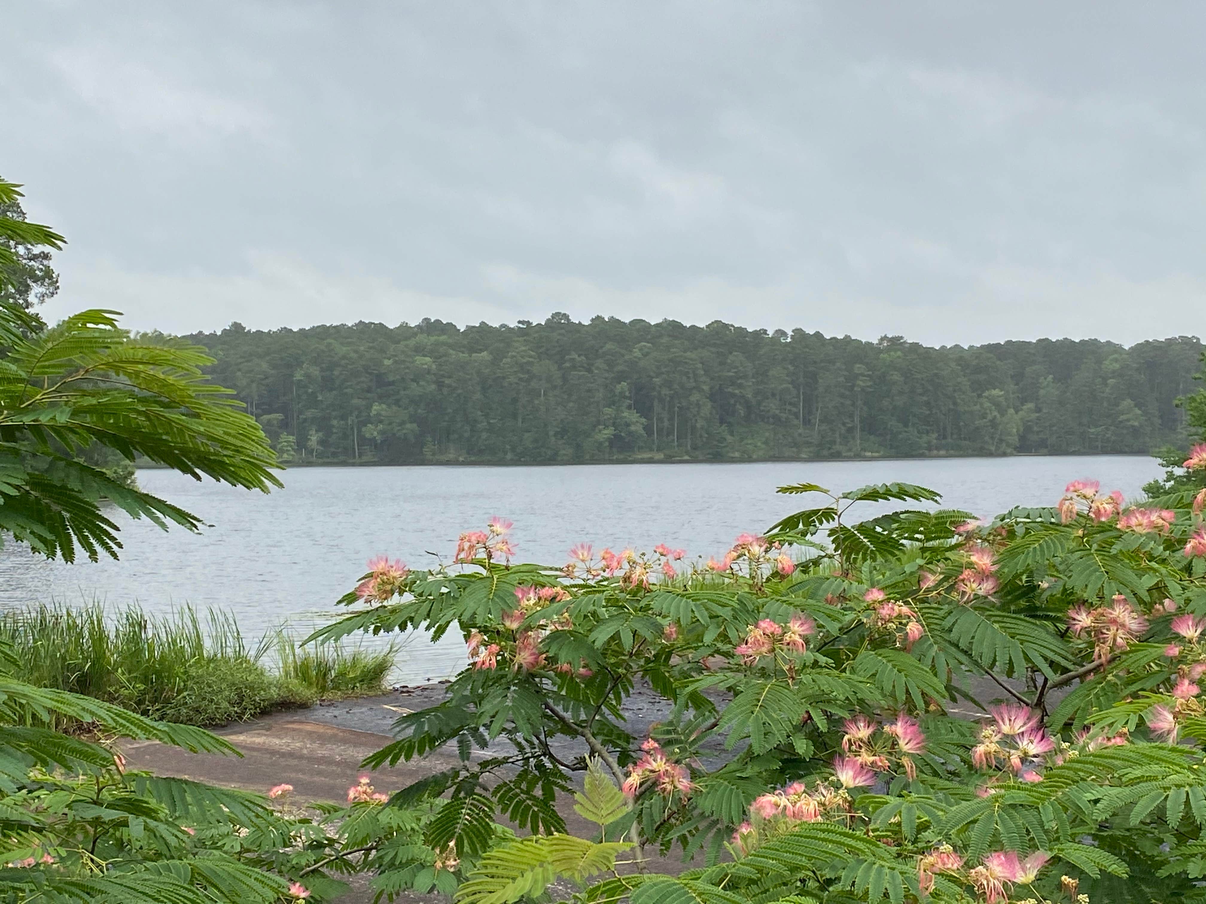 Camper-submitted photo at Turtle Slide Campground near Elm Grove, LA