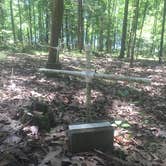 Review photo of Boswell Landing Campground by Jessica L., July 6, 2016