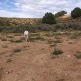 Review photo of Kitchen Corral Wash by Sarah W., August 29, 2020