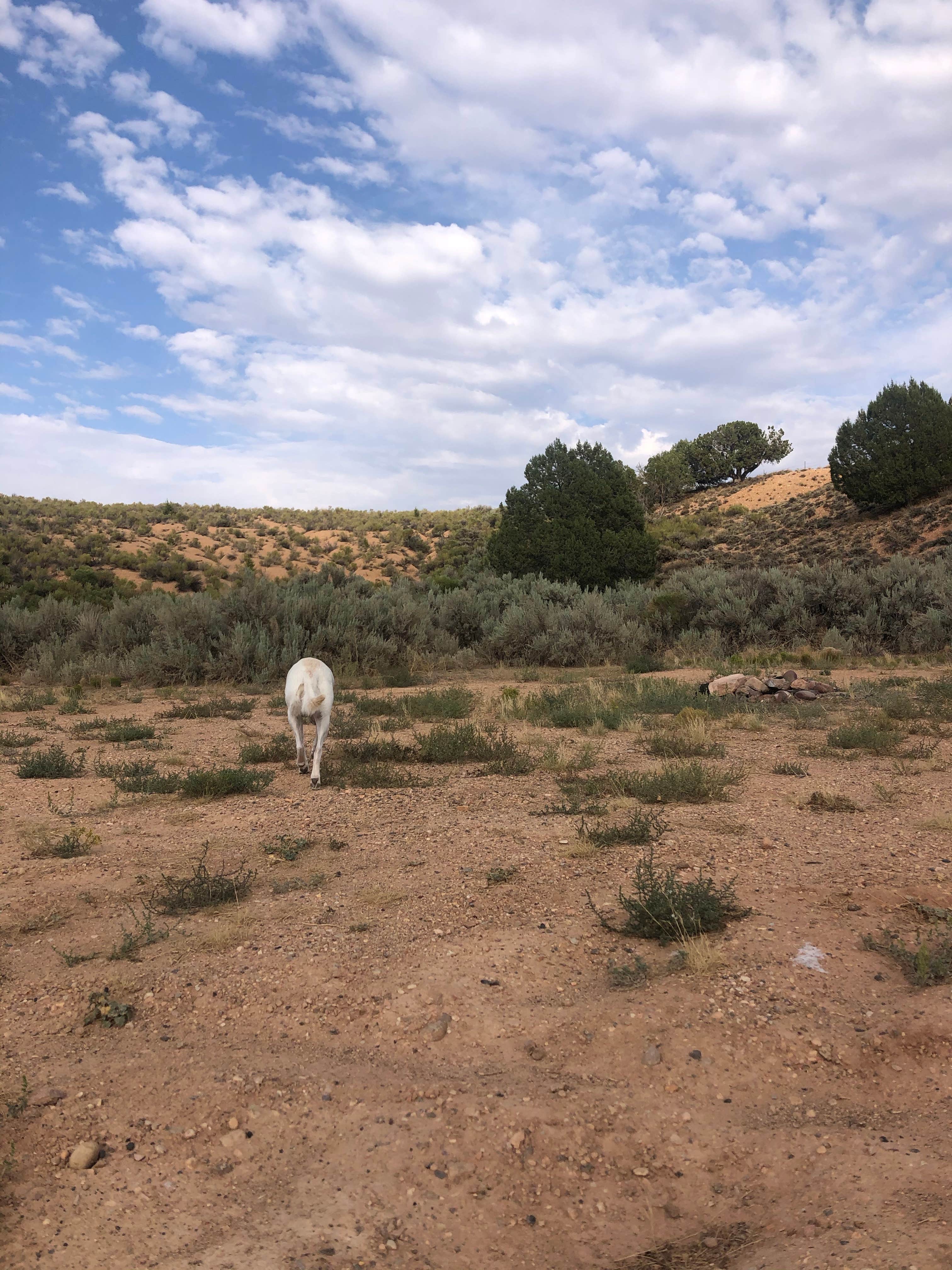 Camper submitted image from Kitchen Corral Wash - 5