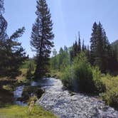 Review photo of Bear Lake State Park Campground by Heather C., August 29, 2020