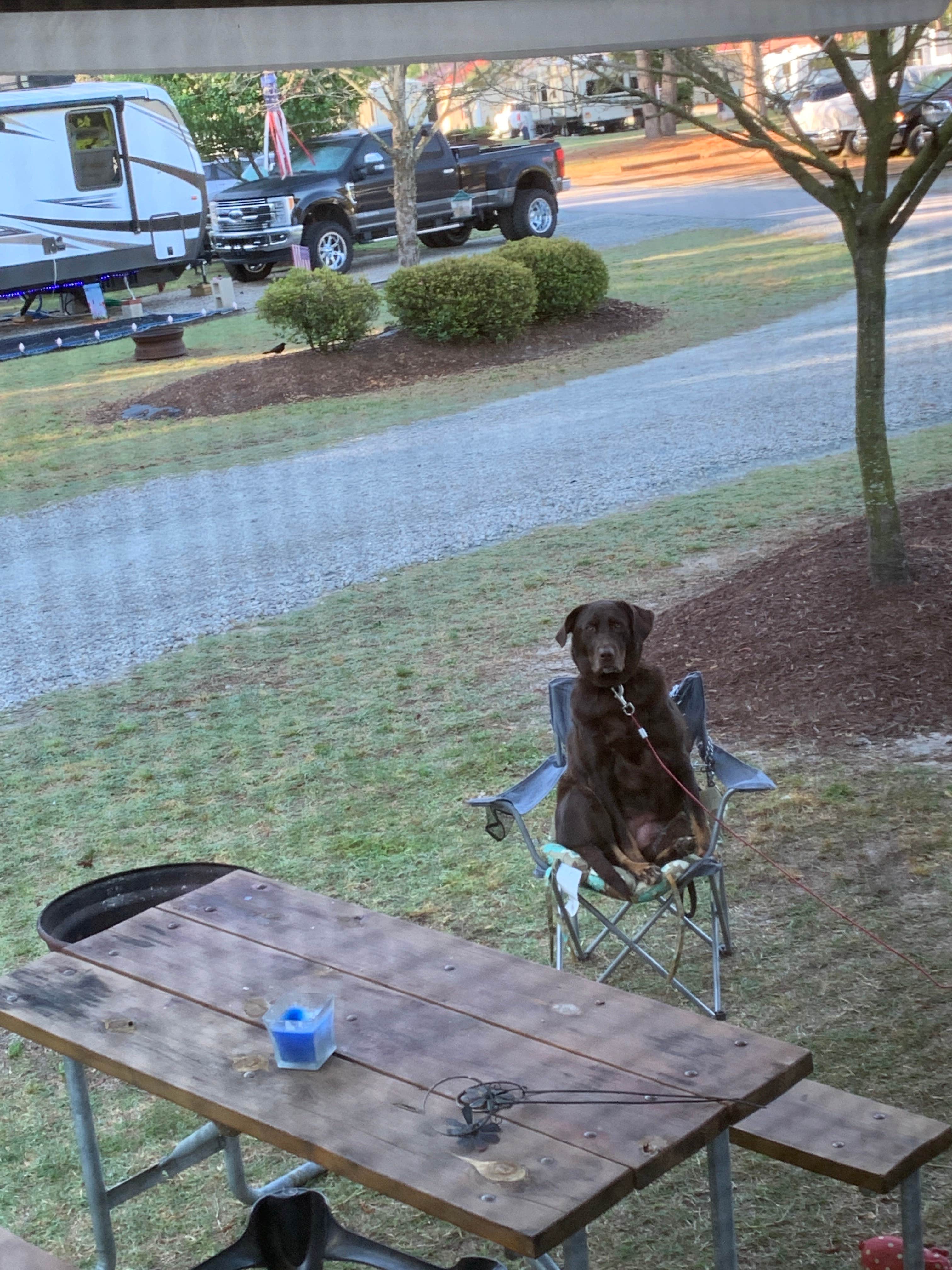 Camper-submitted photo at Fayetteville RV Resort & Cottages near Spring Lake, NC