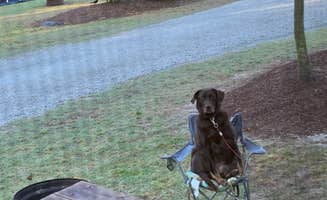 Amurican L.'s photo of camping with pets at Fayetteville RV Resort & Cottages near Garner, NC