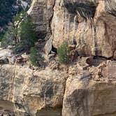 Review photo of Morefield Campground — Mesa Verde National Park by Cheri H., August 29, 2020