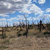 Review photo of Morefield Campground — Mesa Verde National Park by Cheri H., August 29, 2020