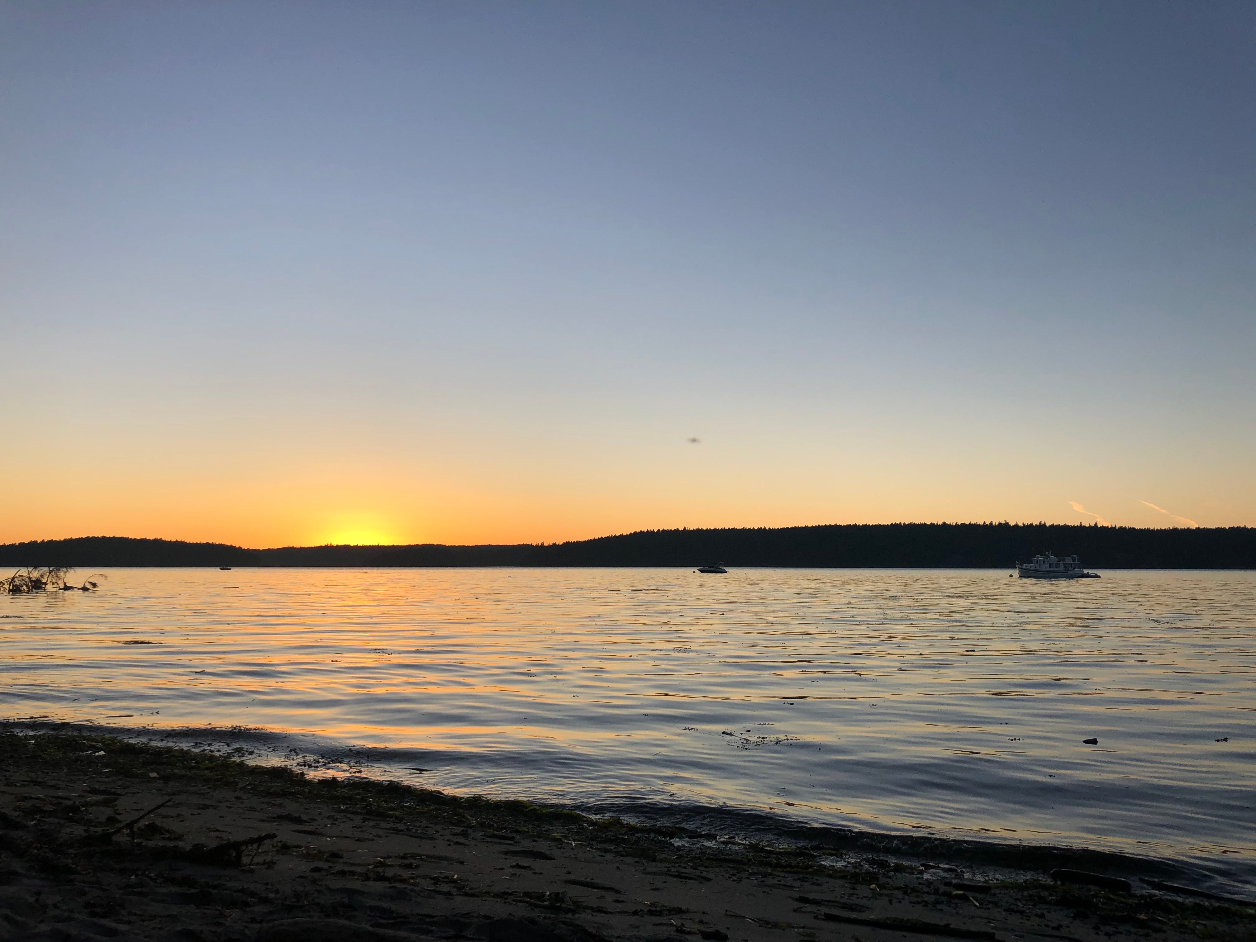 Camper submitted image from Odlin County Park Camping - Lopez Island - 2