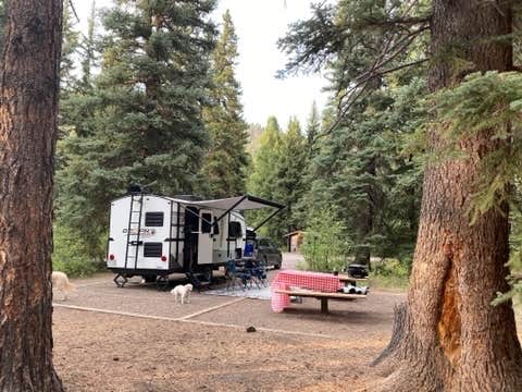 Rebeca H.'s photo at Aspen Glade (rio Grande National Forest, Co) near La Jara, CO
