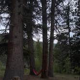 Review photo of Aspen Glade (rio Grande National Forest, Co) by Rebeca H., August 29, 2020