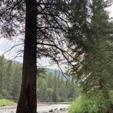Review photo of Aspen Glade (rio Grande National Forest, Co) by Rebeca H., August 29, 2020