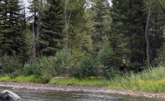 Rebeca H.'s photo of camping with pets at Aspen Glade (rio Grande National Forest, Co) near Tierra Amarilla, NM