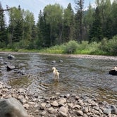 Review photo of Aspen Glade (rio Grande National Forest, Co) by Rebeca H., August 29, 2020