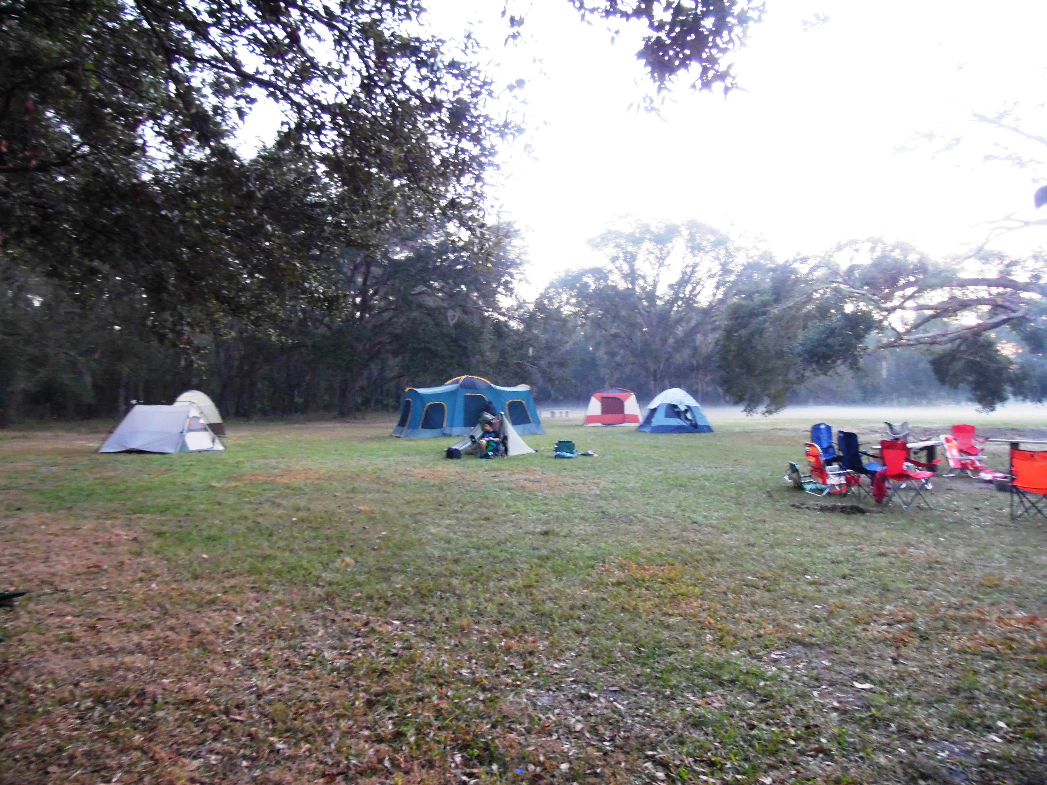 Camper submitted image from Colt Creek State Park Campground - 4