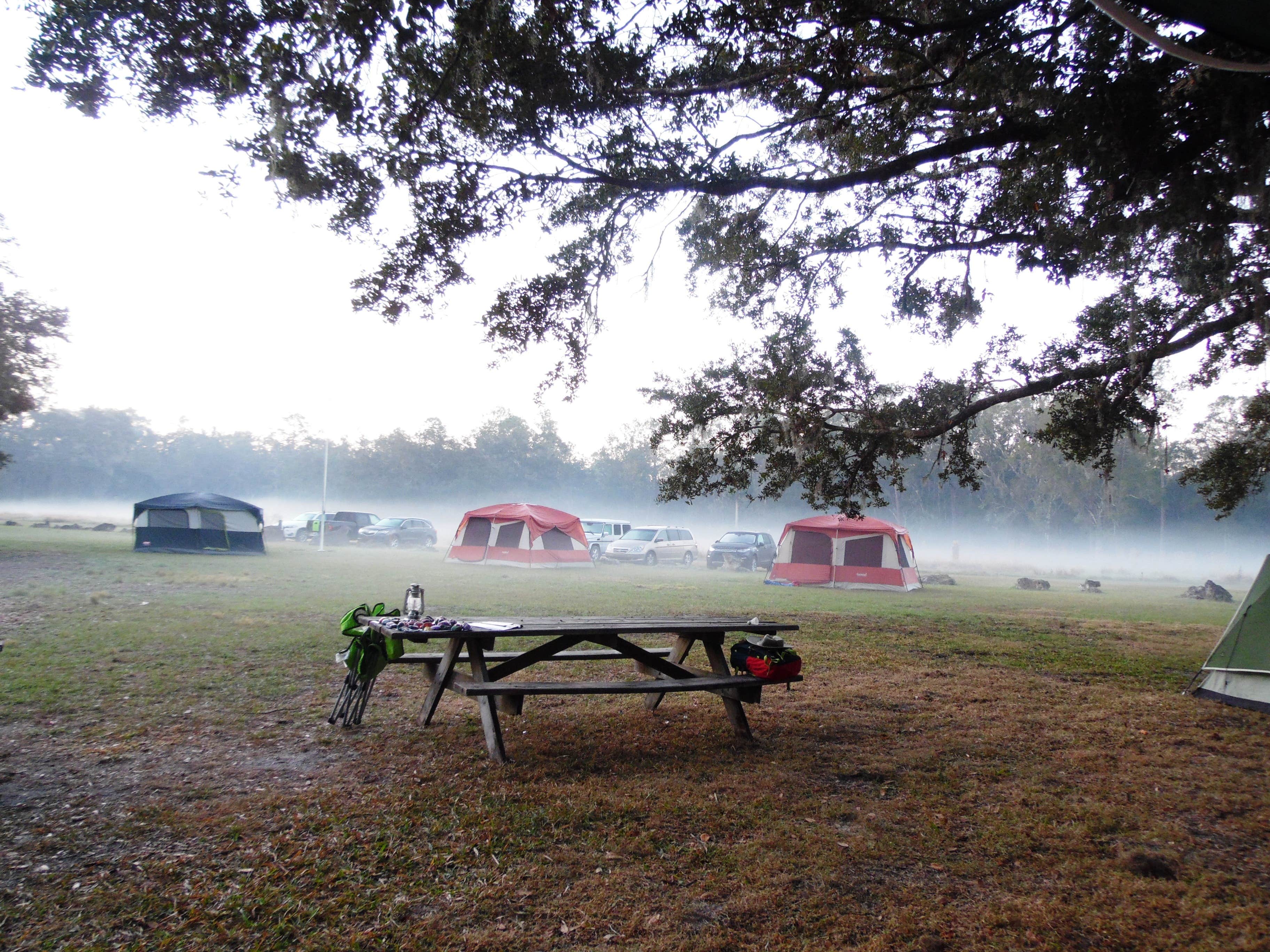 Camper submitted image from Colt Creek State Park Campground - 4