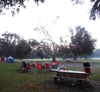 Camper-submitted photo from Lake Griffin State Park Campground