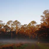 Review photo of Colt Creek State Park Campground by Jeanene A., May 9, 2018