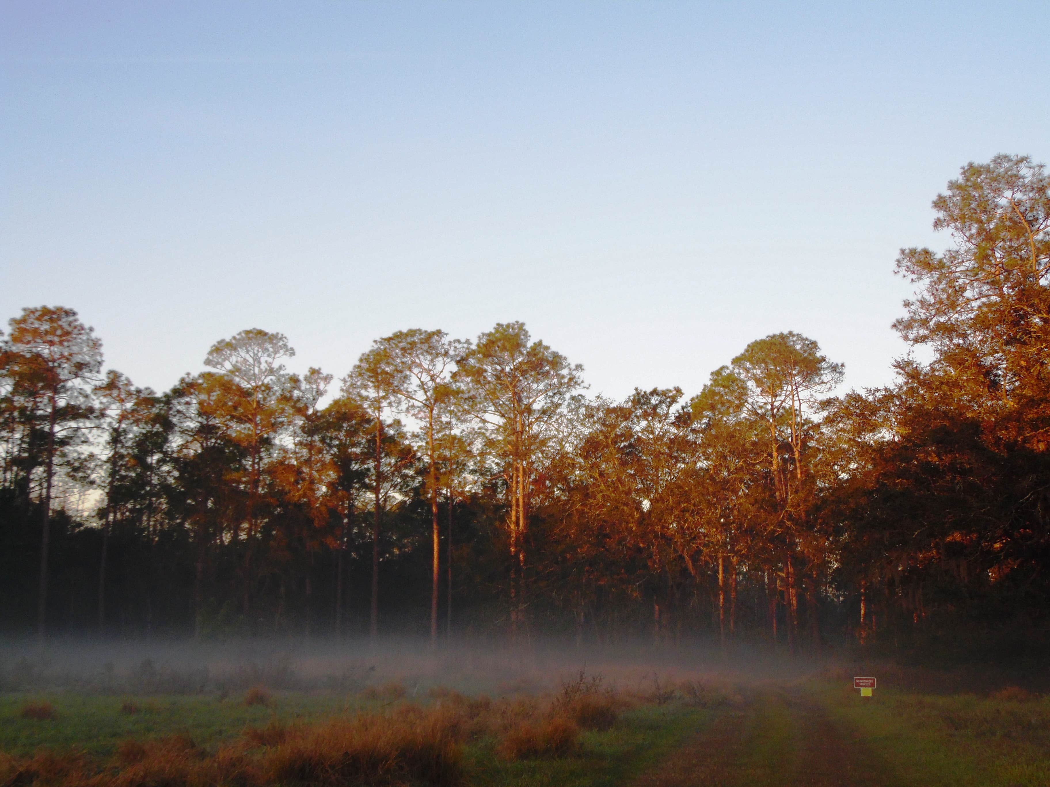 Camper submitted image from Colt Creek State Park Campground - 2