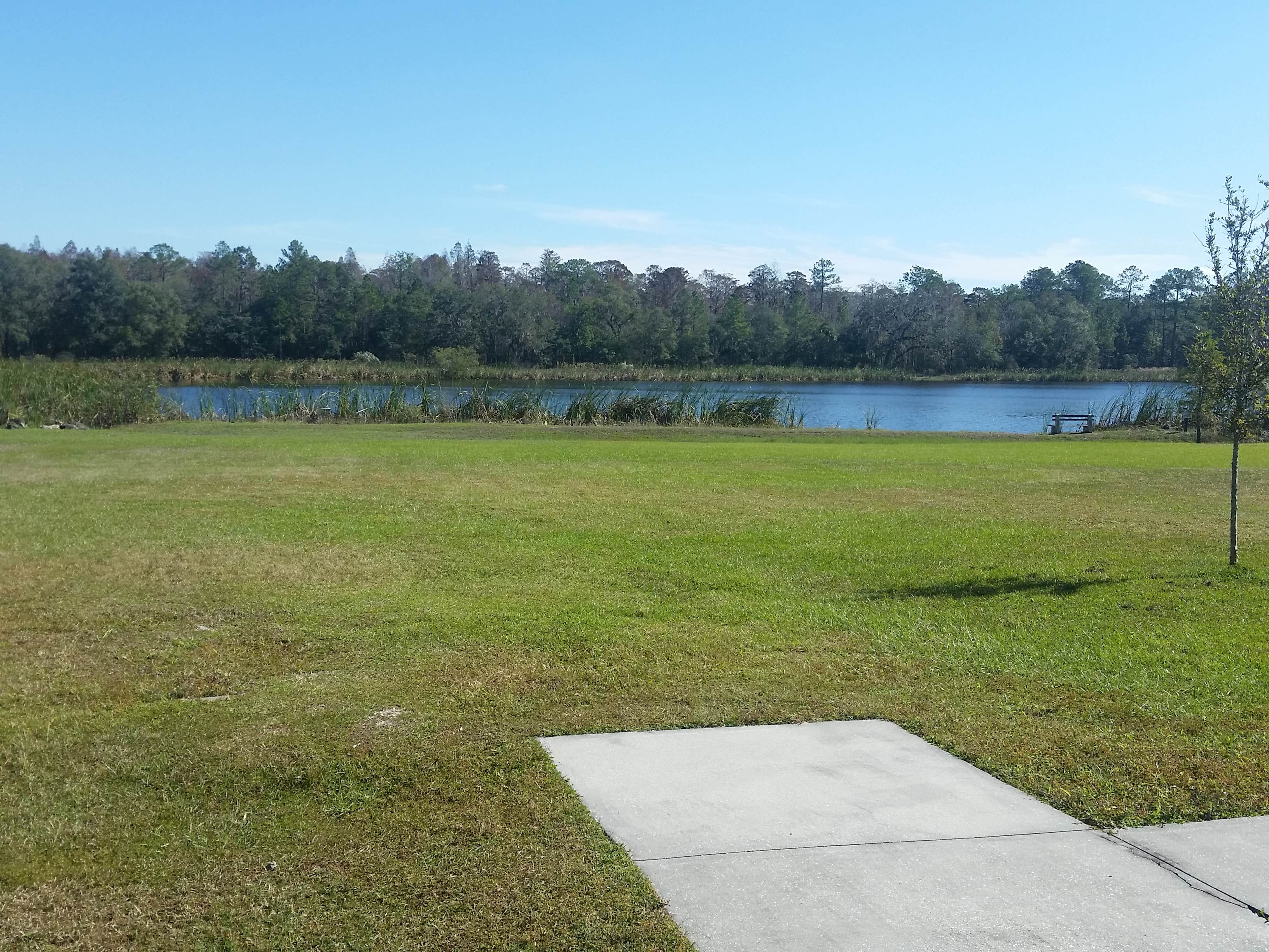 Camper-submitted photo at Colt Creek State Park Campground near Lutz, FL