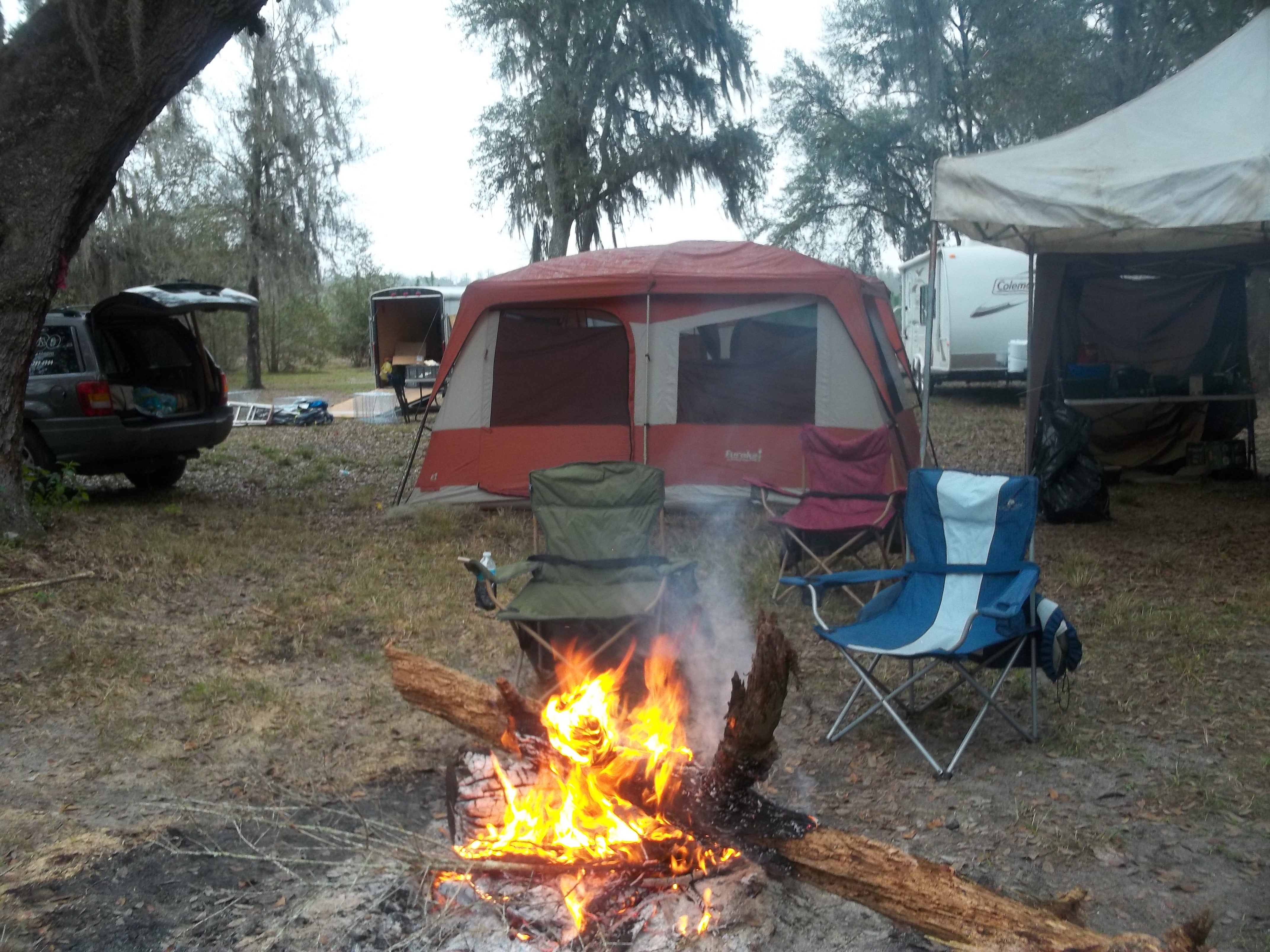 Camper submitted image from Florida / Groveland Richloam WMA - Bay Lake Camp - 5