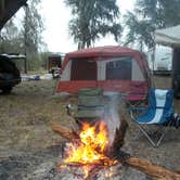 Review photo of Florida / Groveland Richloam WMA - Bay Lake Camp by Jeanene A., May 9, 2018