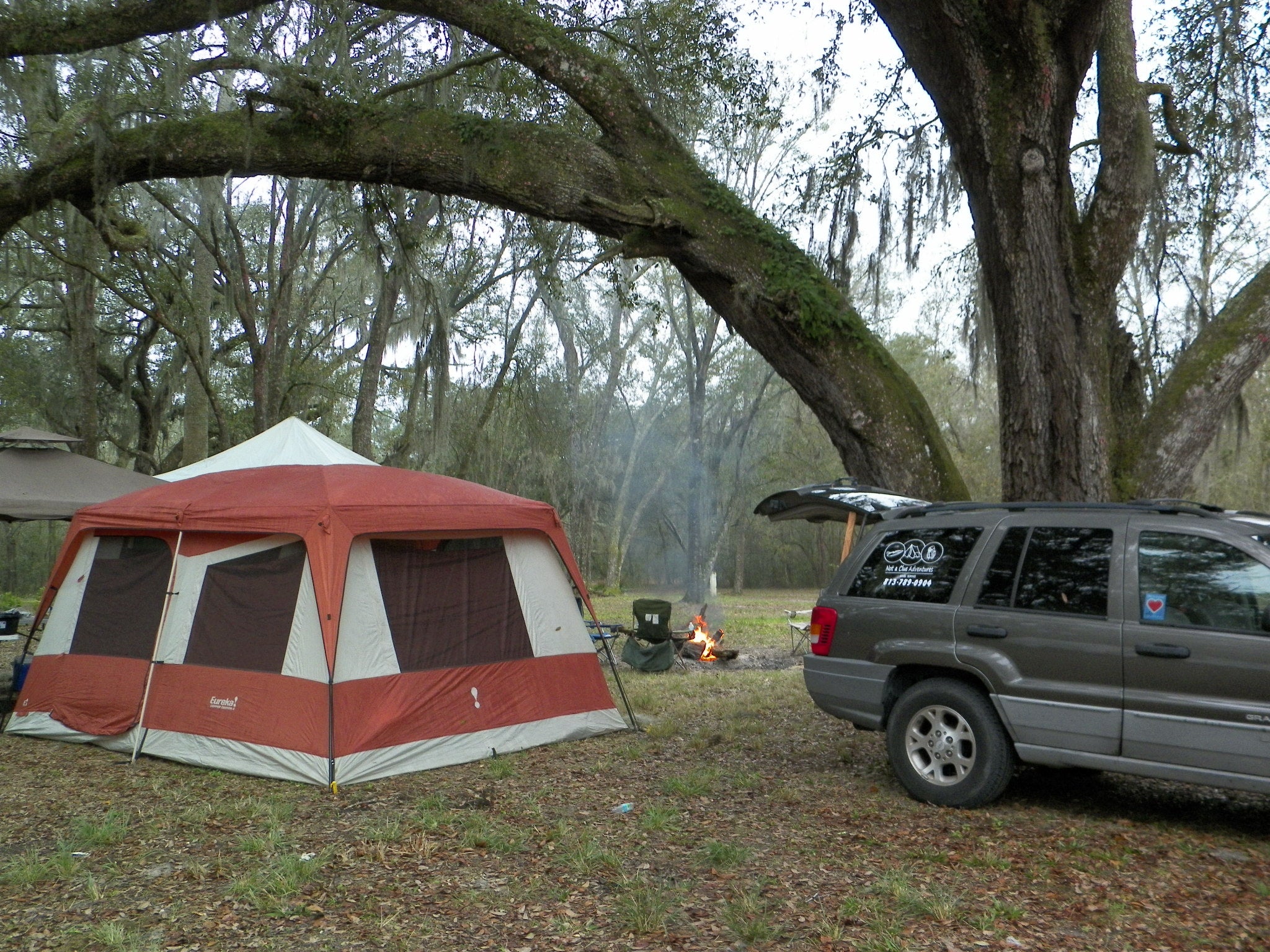 Camper submitted image from Florida / Groveland Richloam WMA - Bay Lake Camp - 3