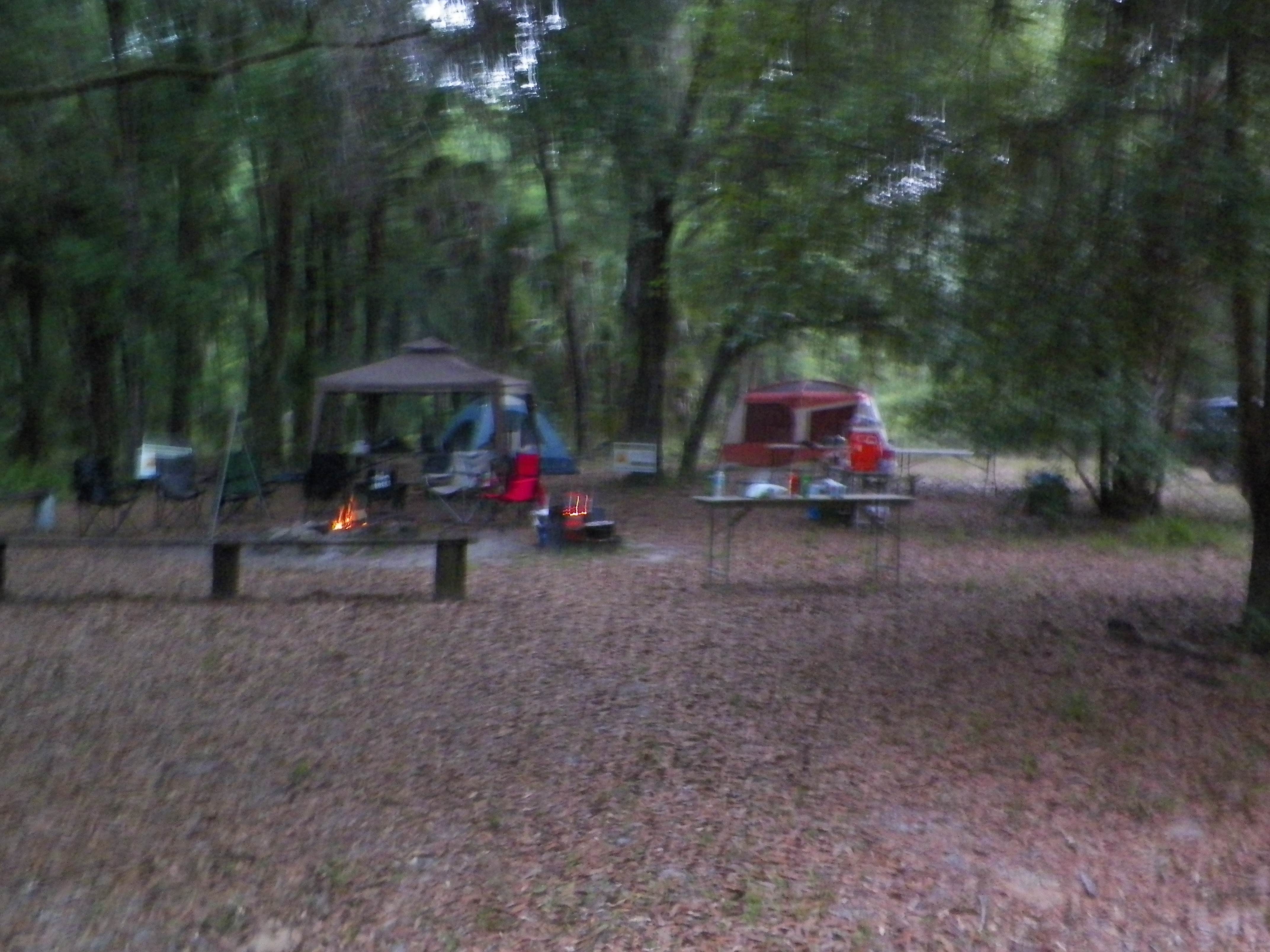 Camper submitted image from Flat Island Preserve - 5